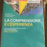 La comprensione e l'esperienza 