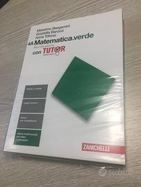 4a- 4b matematica.verde