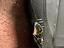 Immagine 3