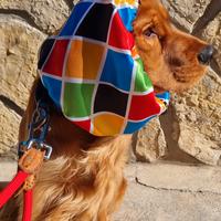Copri-orecchie per Cani (Snood anti forasacchi)