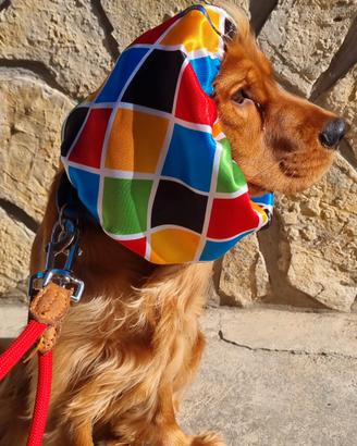 Copri-orecchie per Cani (Snood anti forasacchi)