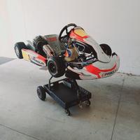 KART 60 MINIKART ALONSO PAROLIN PERFETTO TM VO POS