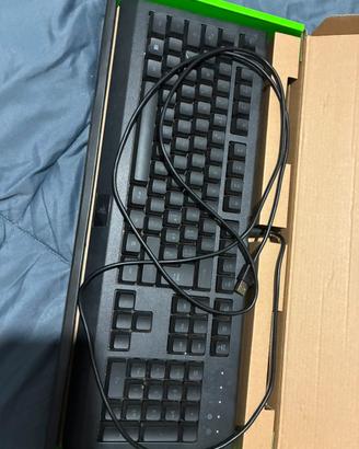 Tastiera Razer Cynosa Lite