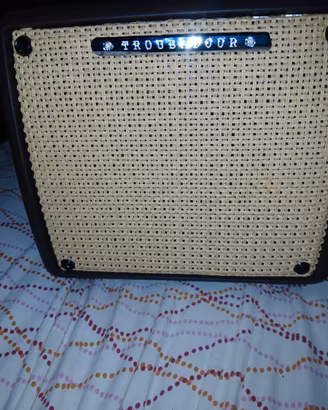 Ibanez Troubadour T15
