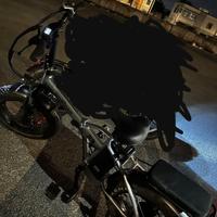 bici elettrica 