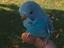 Immagine 5
