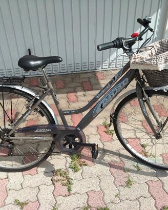 Bicicletta da donna 