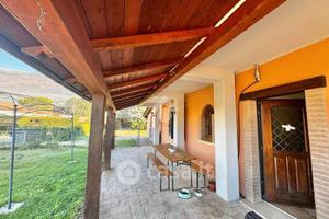 Semi indipende Assisi