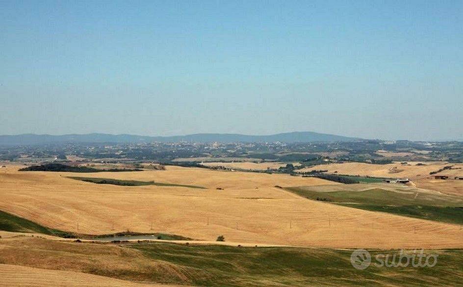 Rustico / Casale di 1800 m² con box auto a Asciano - Vista 5