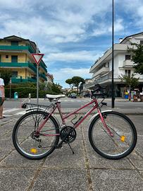 Bicicletta 24”