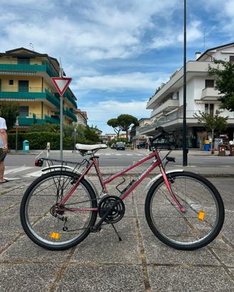 Bicicletta 24”