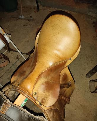 selle per cavallo