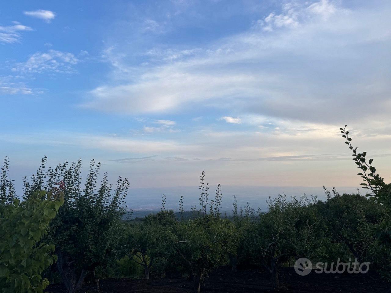 Rustico con terreno sull'Etna - Vista 5