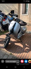 vespa 50 special