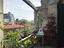 Immagine 29