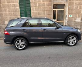 Mercedes ml 250 bluetech
