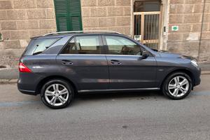Mercedes ml 250 bluetech