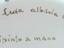 Immagine 6