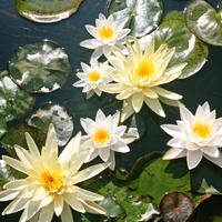 Splendida bifamiliare