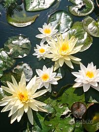 Splendida bifamiliare