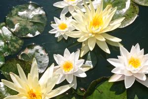 Splendida bifamiliare