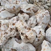 Rocce da Giardino Anticate della Murgia
