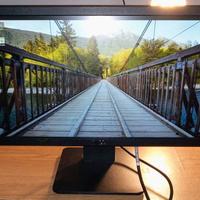 Monitor Dell 20 pollici 16.9 Led