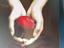 Immagine 1