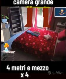 Camera singola 