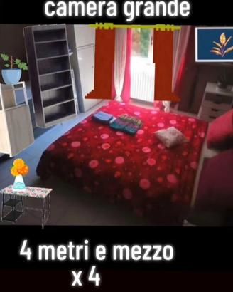 Camera singola 