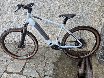 Whistle b-race e-mtb