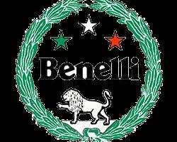 BENELLI TRK 702 X abs E5