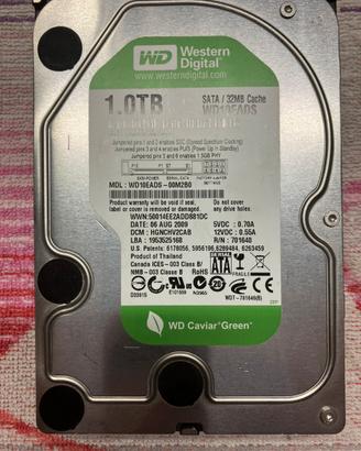 Hdd WD caviar green 1 tb sata
