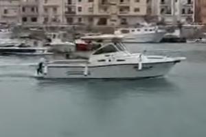 tuccoli t24 
