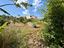 Immagine 26