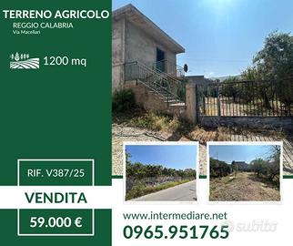 CASOLARE E TERRENO AGRICOLO (RIF. V387/25)