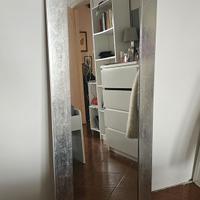 Specchio con rivestimento color argento