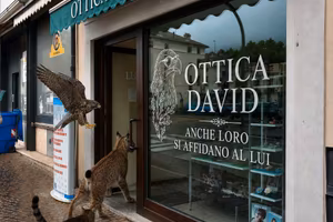 Negozio Ottica