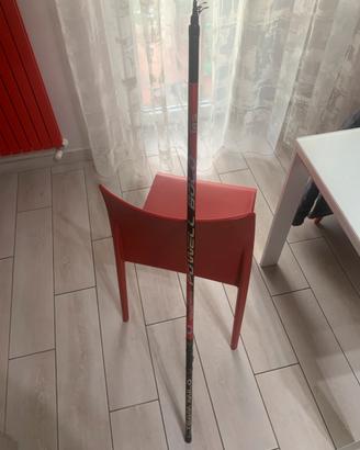 Canna bolognese team Milo 5m