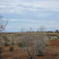 Terreno agricolo con possibilità di edificare