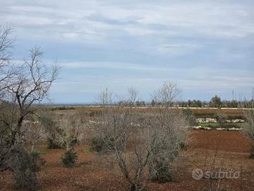 Terreno agricolo con possibilità di edificare