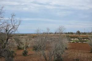 Terreno agricolo con possibilità di edificare