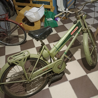 Legnano moschito