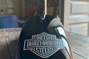 Parafango anteriore Softail Harley