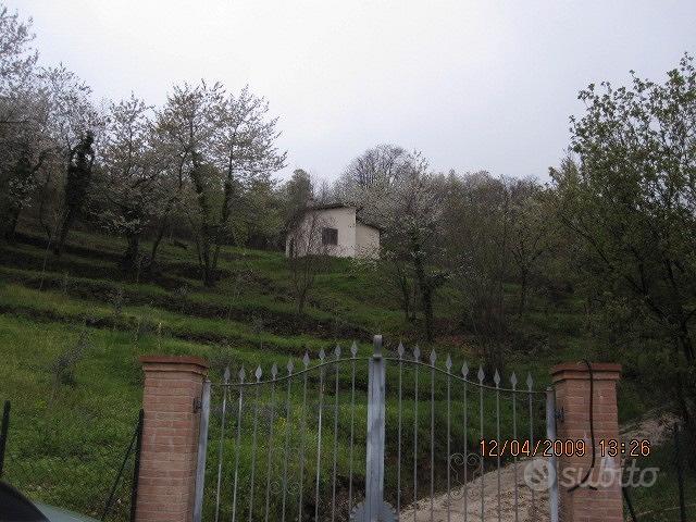 Villa immersa nel verde - Vista 4
