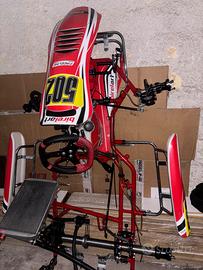 Birel art s19