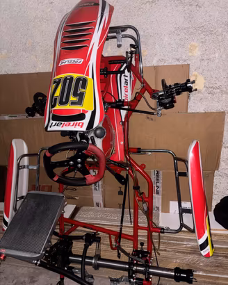 Birel art s19