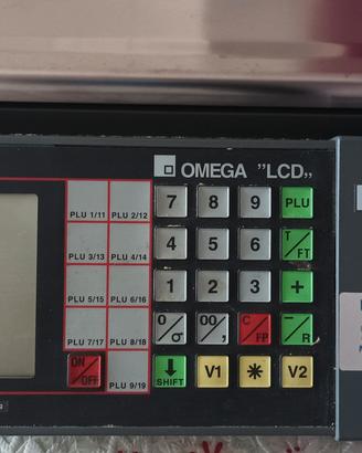 bilancia elettronica