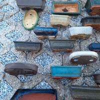 Vasi per bonsai
