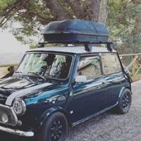 Mini rover 1000/1300 barre portapacchi tetto